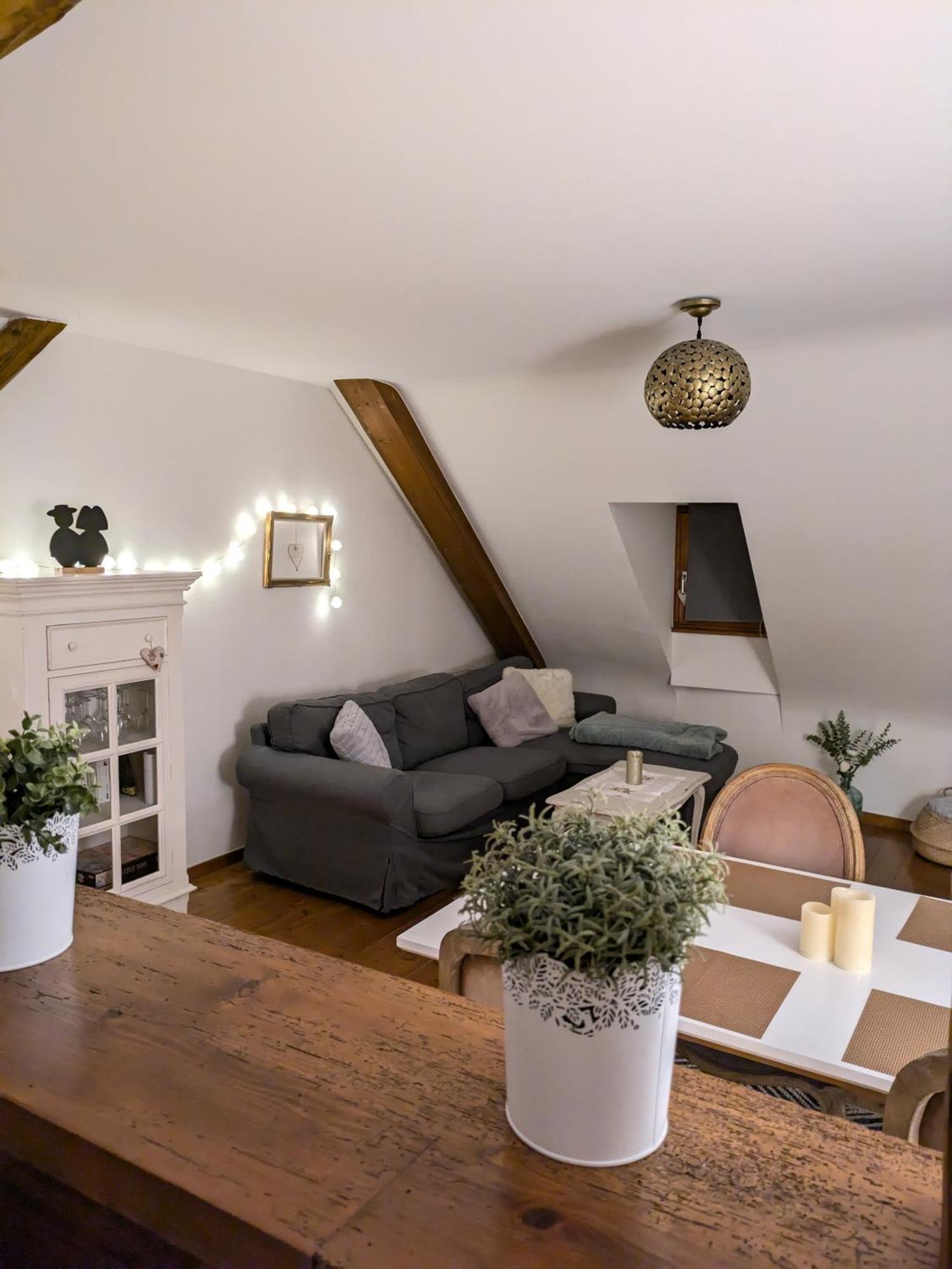 Les Toits De Turckheim Apartment Екстериор снимка